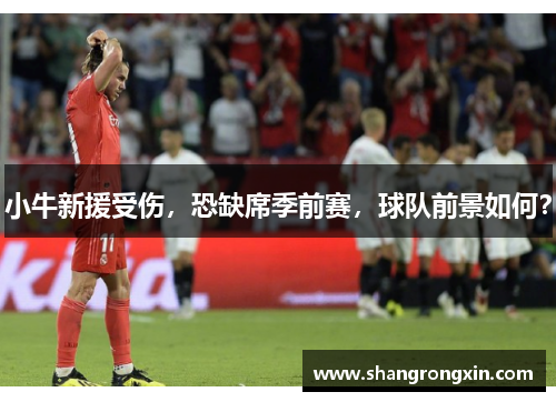 小牛新援受伤，恐缺席季前赛，球队前景如何？